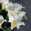 EASTER LILY BUSH X16  WHITE 26"