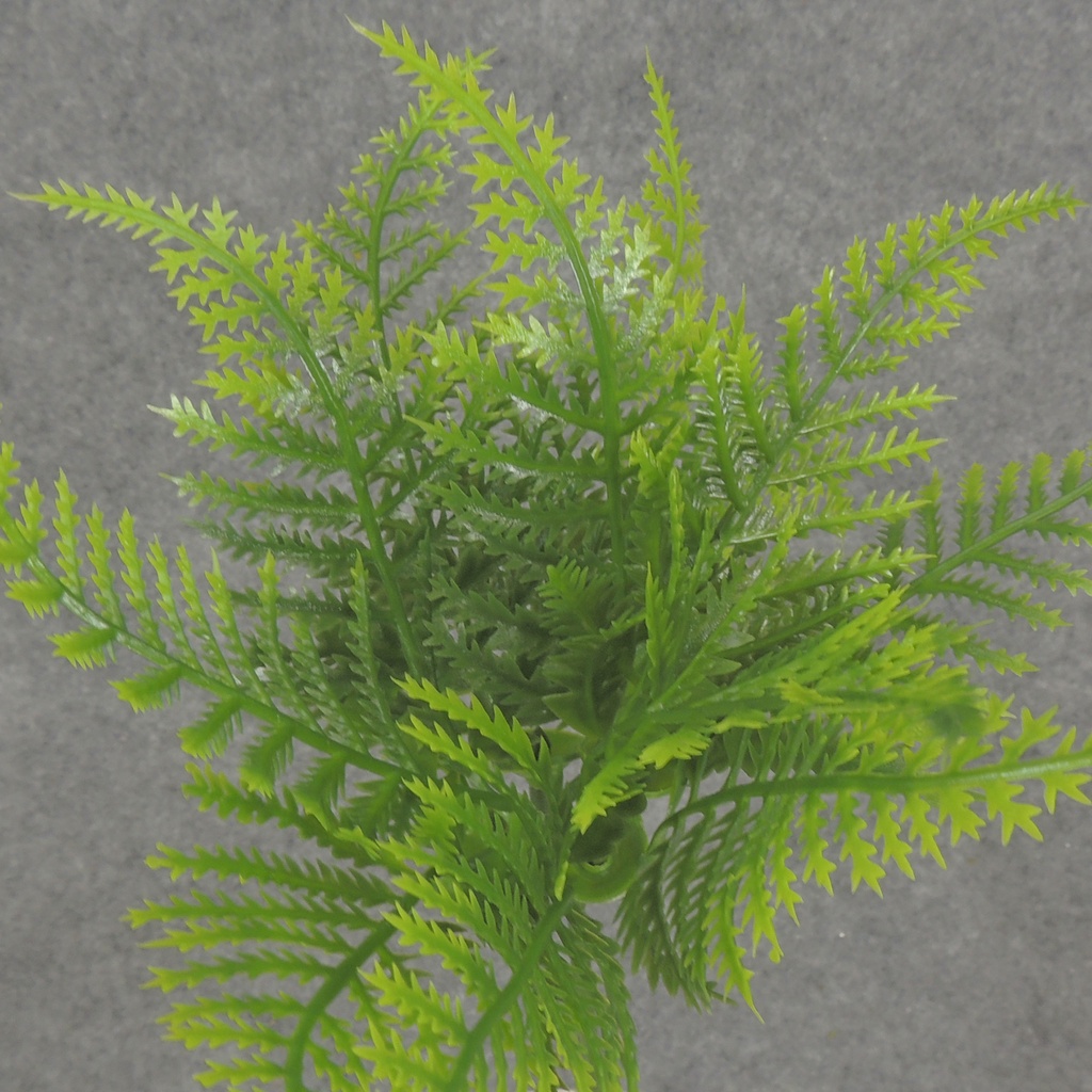 FERN SESAME PICK X4 8" PLASTIC (1 DZ/BAG)