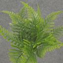 FERN SESAME PICK X4 8" PLASTIC (1 DZ/BAG)