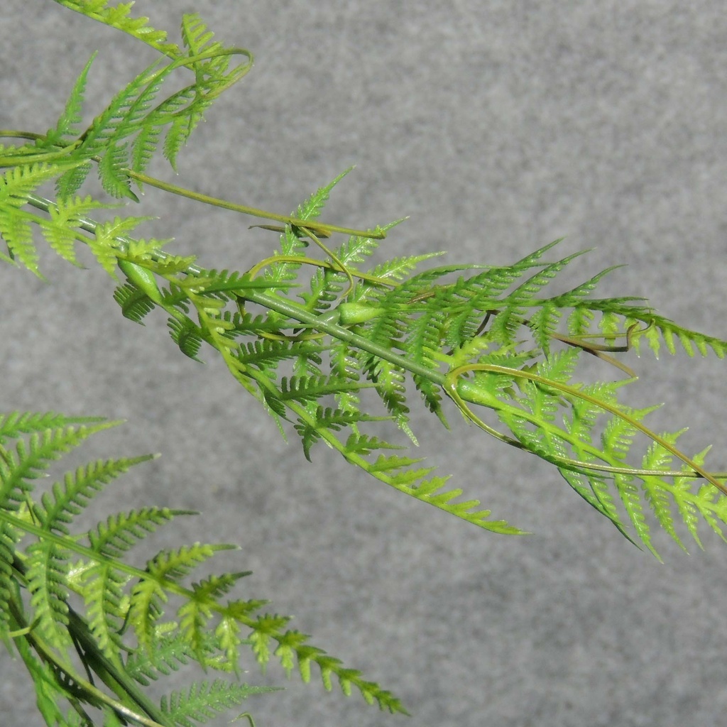 LEATHERLEAF FERN BUSH 21" GREEN PLASTIC