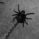 SPIDER SPRAY 20"  BLACK