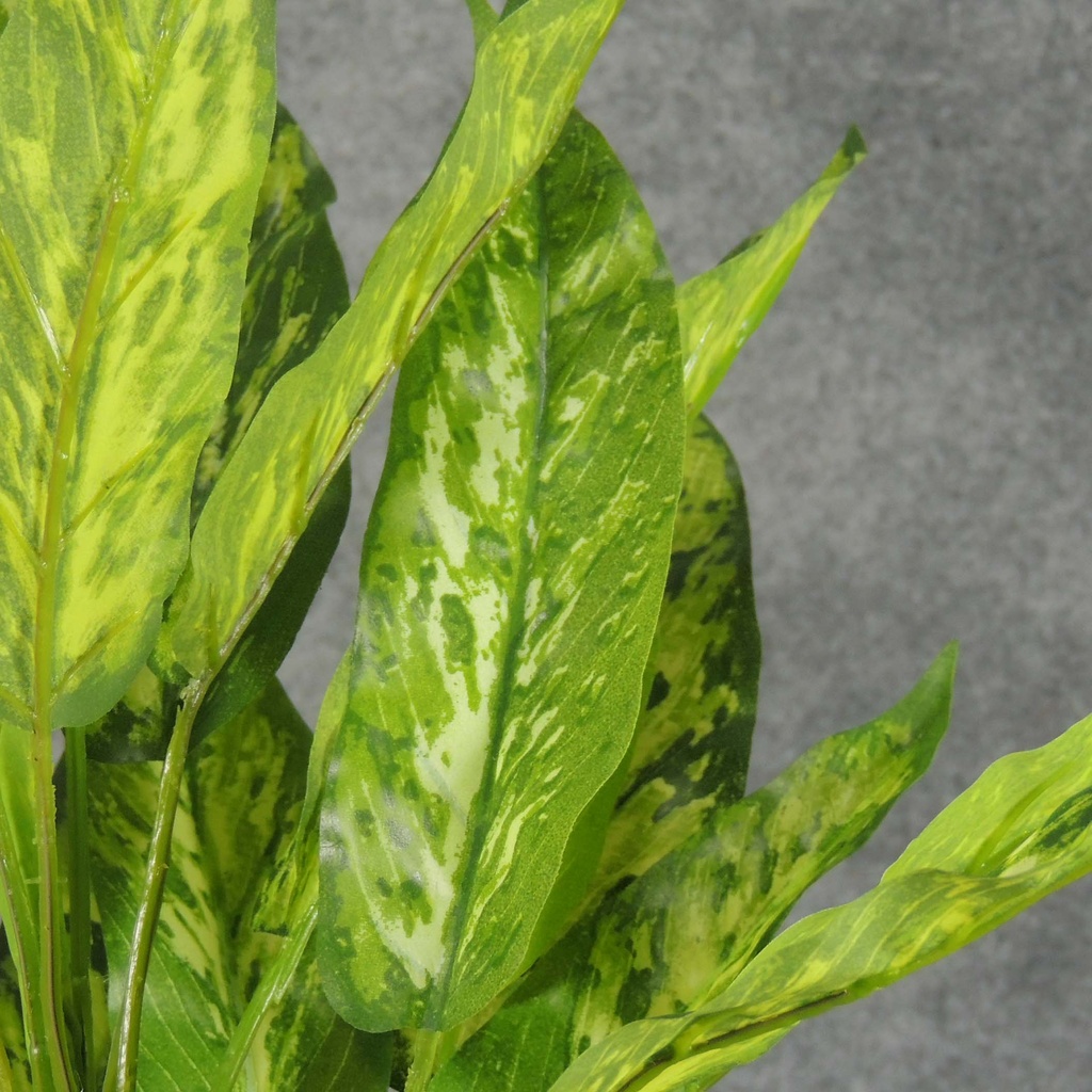 AGLAONEMA BUSHx5 REAL TOUCH 18&quot;