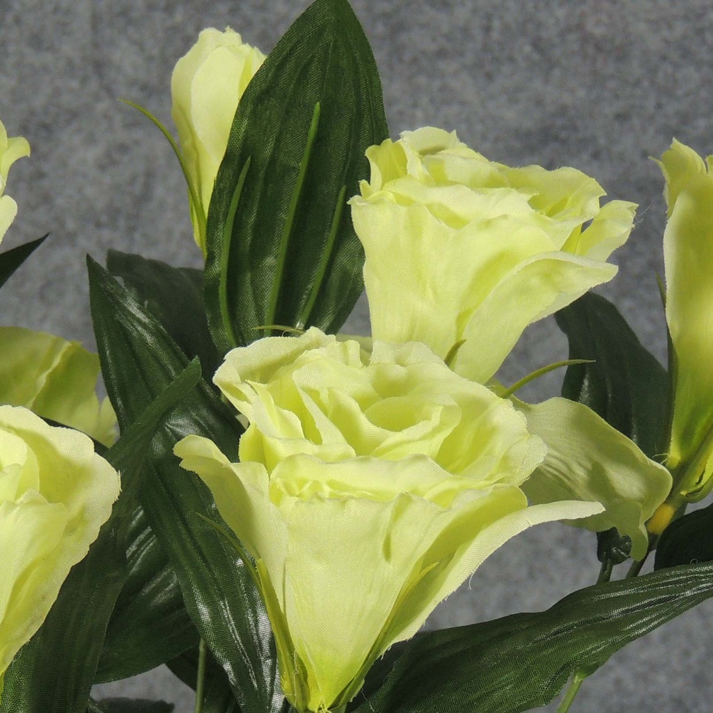 LISIANTHUS BUSH X9    GREEN