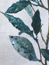 GLITTER LEAVES SPRAY X2 35"  TEAL