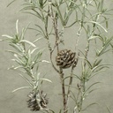 PODOCARPUS SPRAY 29" W/CONES