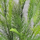 FERN LEAF BUSH X9 25" PLASTIC