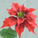 POINSETTIA SINGLE STEM   RED