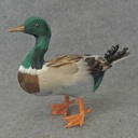 12" FEATHERED STANDING MALLARD DUCK