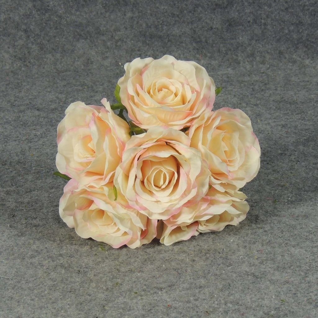 ROSE OPEN BOUQUET X6  CREAM/PINK