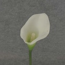 CALLA LILY STEM X1 WHITE 15" (EVA MATERIAL)