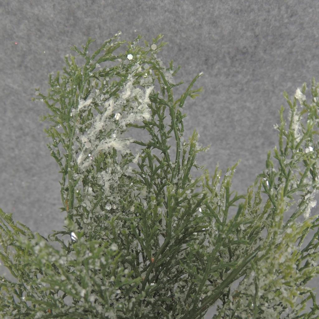 CYPRESS PICK BUNDLE 13" w/SNOW (3/BUNDLE)