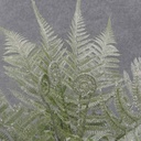 FERN BUSH X15 16" FROSTED