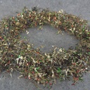 GARLAND 6' GLITTER