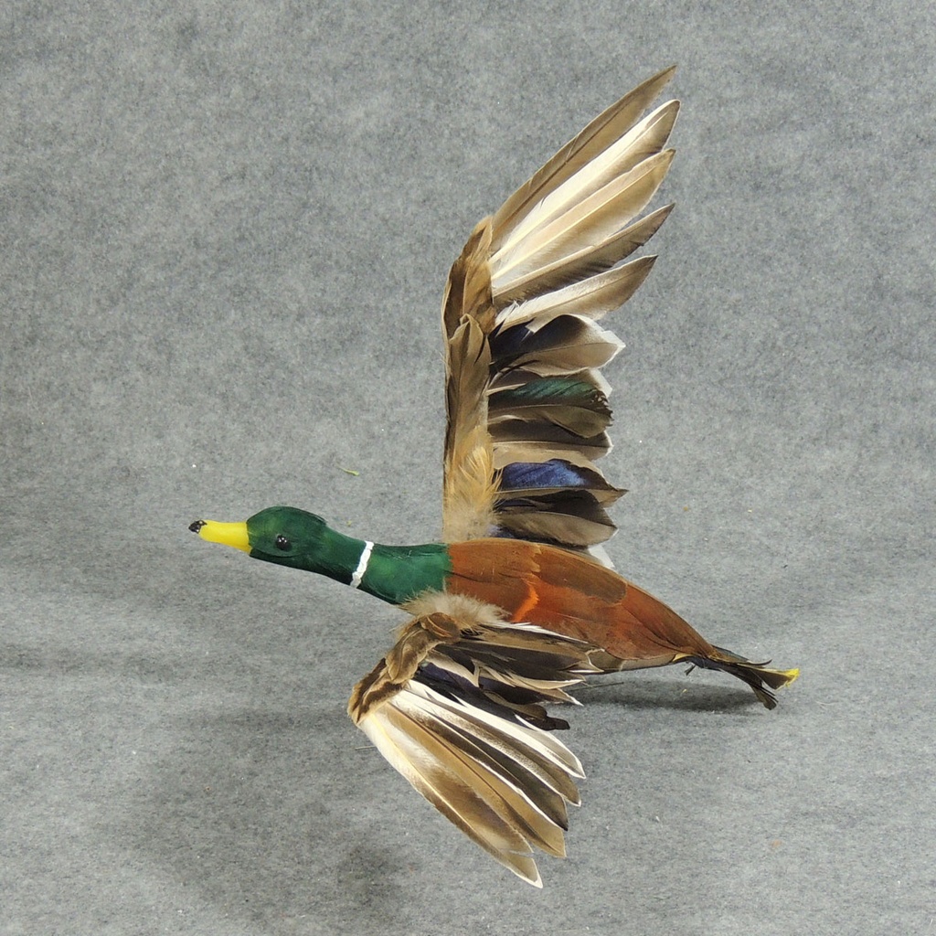 12" x 22" FLYING MALLARD DUCK   