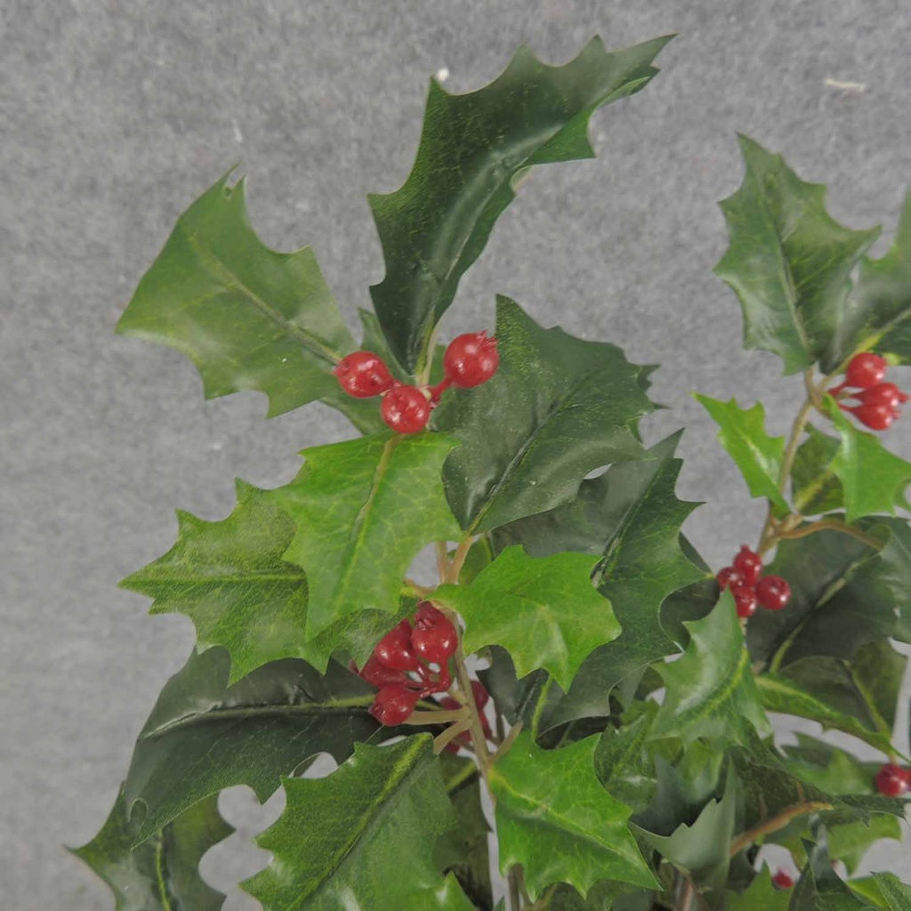 HOLLY BUSH 160 LVS OD BERRIES  GREEN