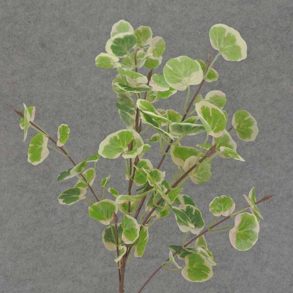 FOLIAGE MINI LEAF SPRAY 35" (STYLE C)