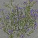 SEEDED GRASS SPRAY 30" PURPLE (2/BDL)