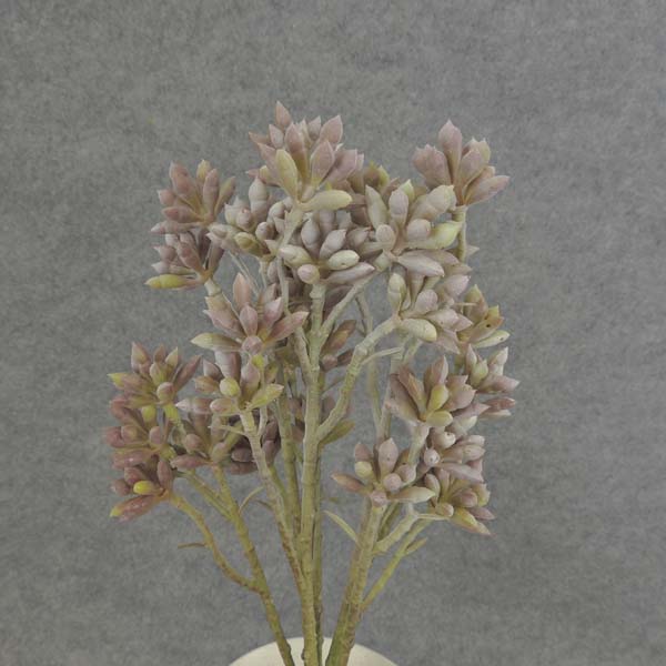 SUCCULENT (SEDUM) 11" 3/BUNDLE PLASTIC