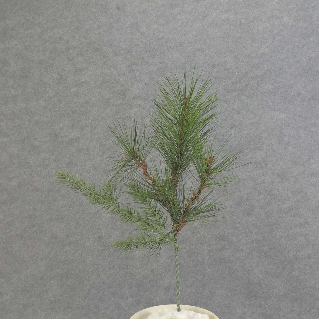 PINE PICK 12" MIXED