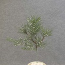 PINE PICK MIXED WITH ICE 12" X4
