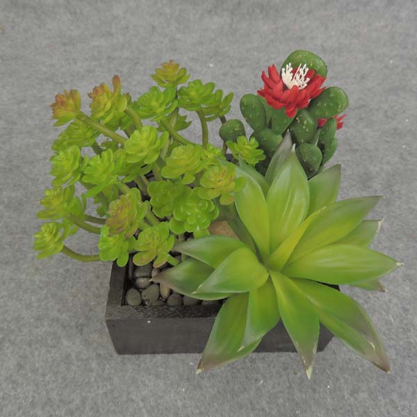 SUCCULENT MIXED 5x6" RED FLWRS WOOD PLANTER