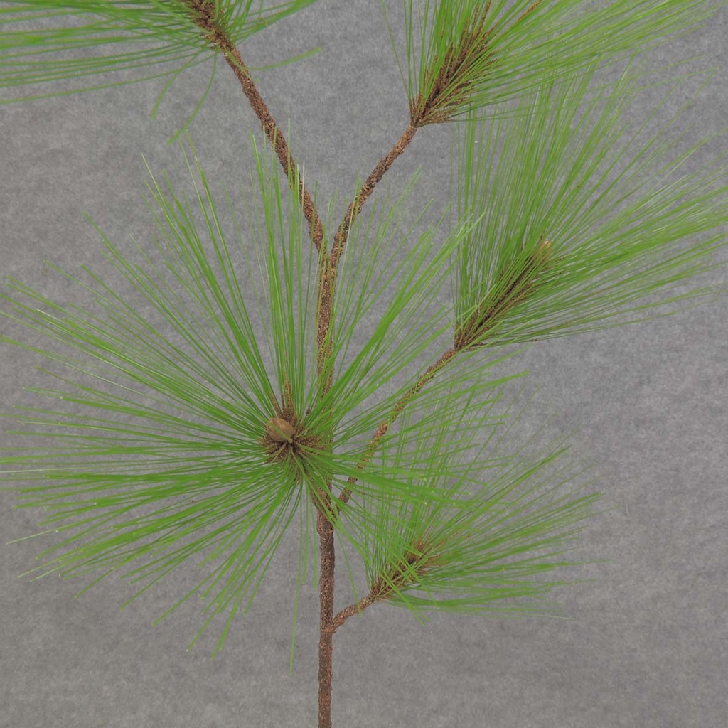 PINE SPRAY LONG NEEDLE 30"