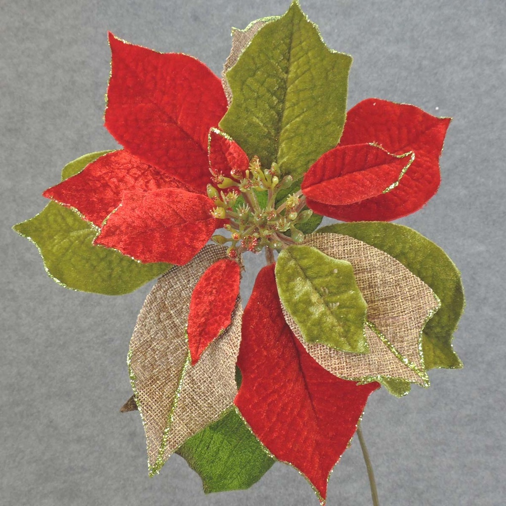 POINSETTIA BURLAP/VELVET 20" 10"dia RED/GRN