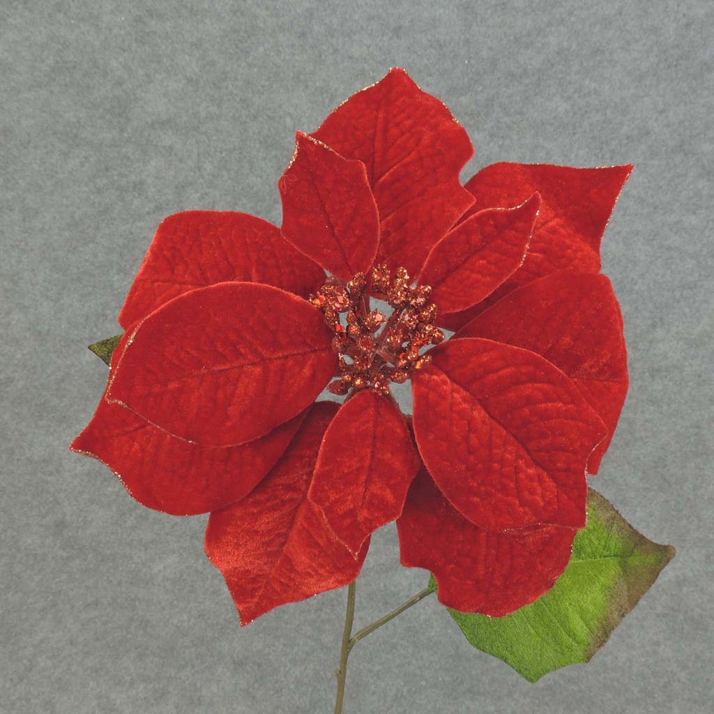 POINSETTIA SPRAY 20" 10" Dia  RED VELVET