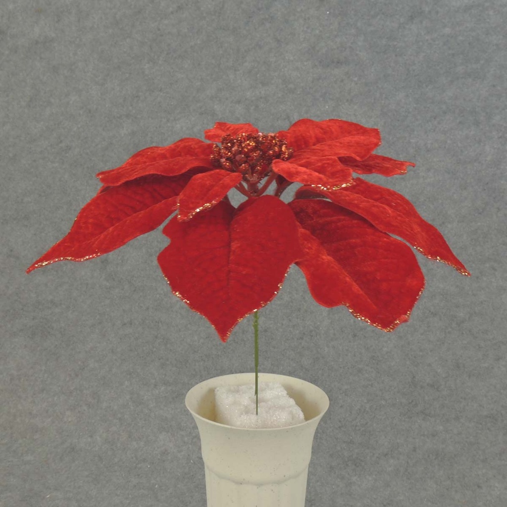 POINSETTIA PICK 8" 10" Dia RED VELVET