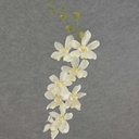 DENDROBIUM ORCHID SPRAY 29"  CREAM/WHITE