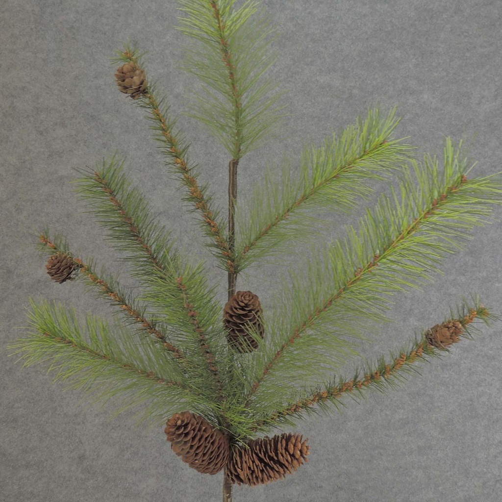 PINE MIXED SPRAY 30&quot; X8 W/CONES