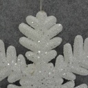 SNOWFLAKE DISPLAY w/HANGER 9"