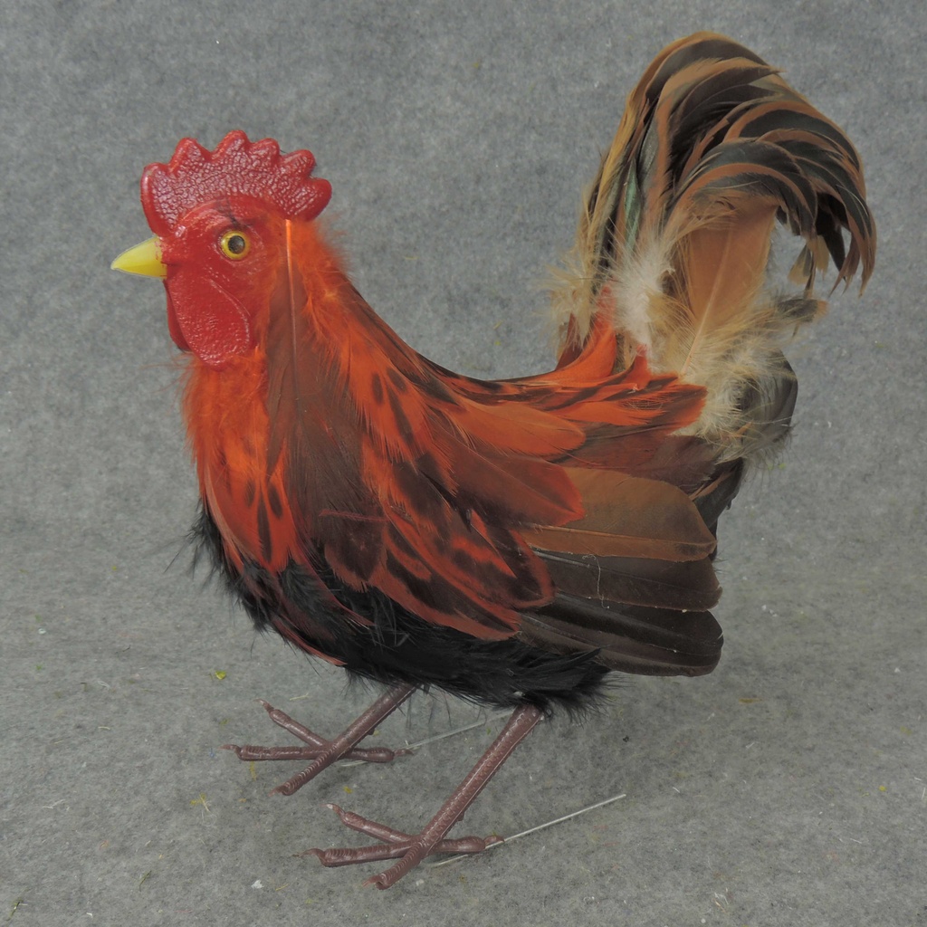 15" NATURAL ROOSTER