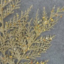 CEDAR SPRAY X4 21" (4/BAG)     GLITTER/GOLD 