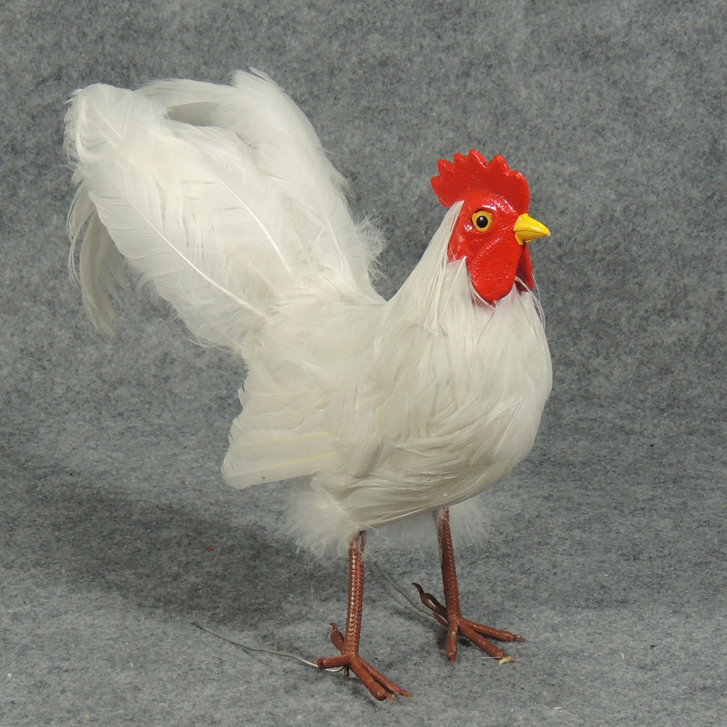 15" WHITE ROOSTER