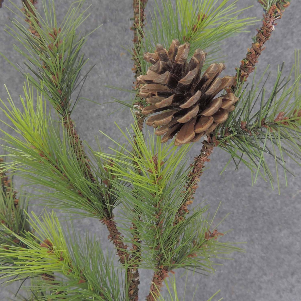 PINE SPRAY X4 32" W/CONES