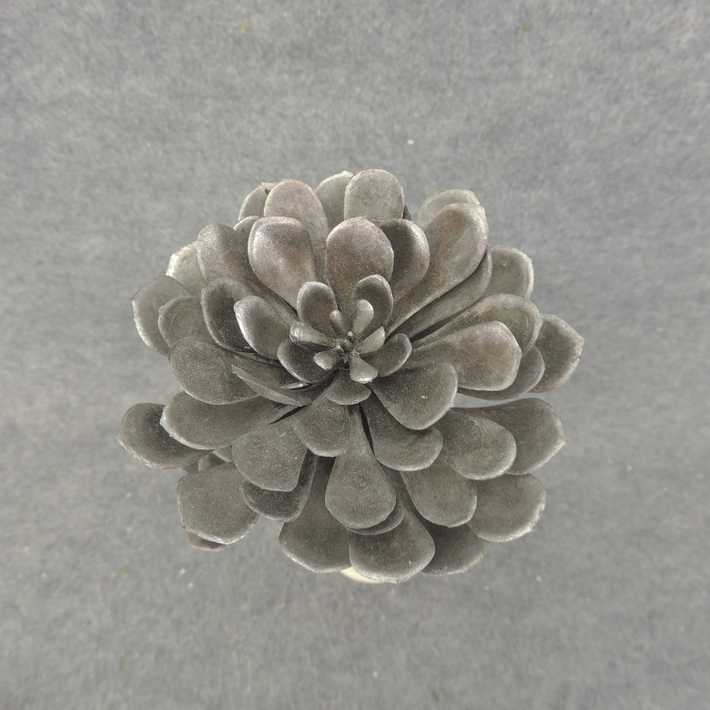 SUCCULENT PICK 11" X2  SILVER