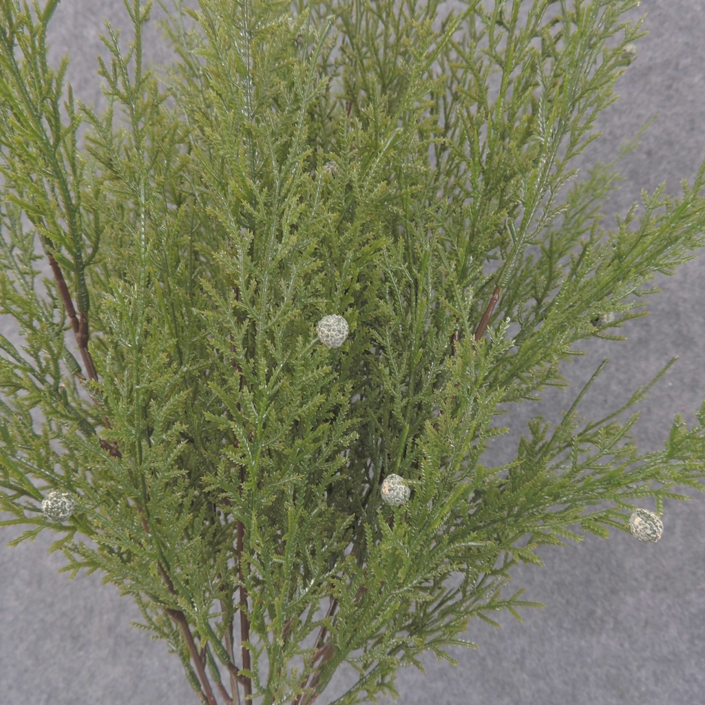 JUNIPER BUSH 18" PLASTIC