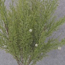 JUNIPER BUSH 18" PLASTIC