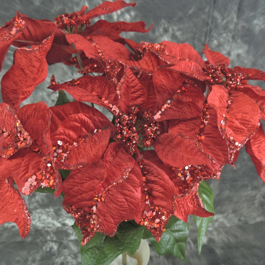 POINSETTIA BUSH X5 W/GLITTER