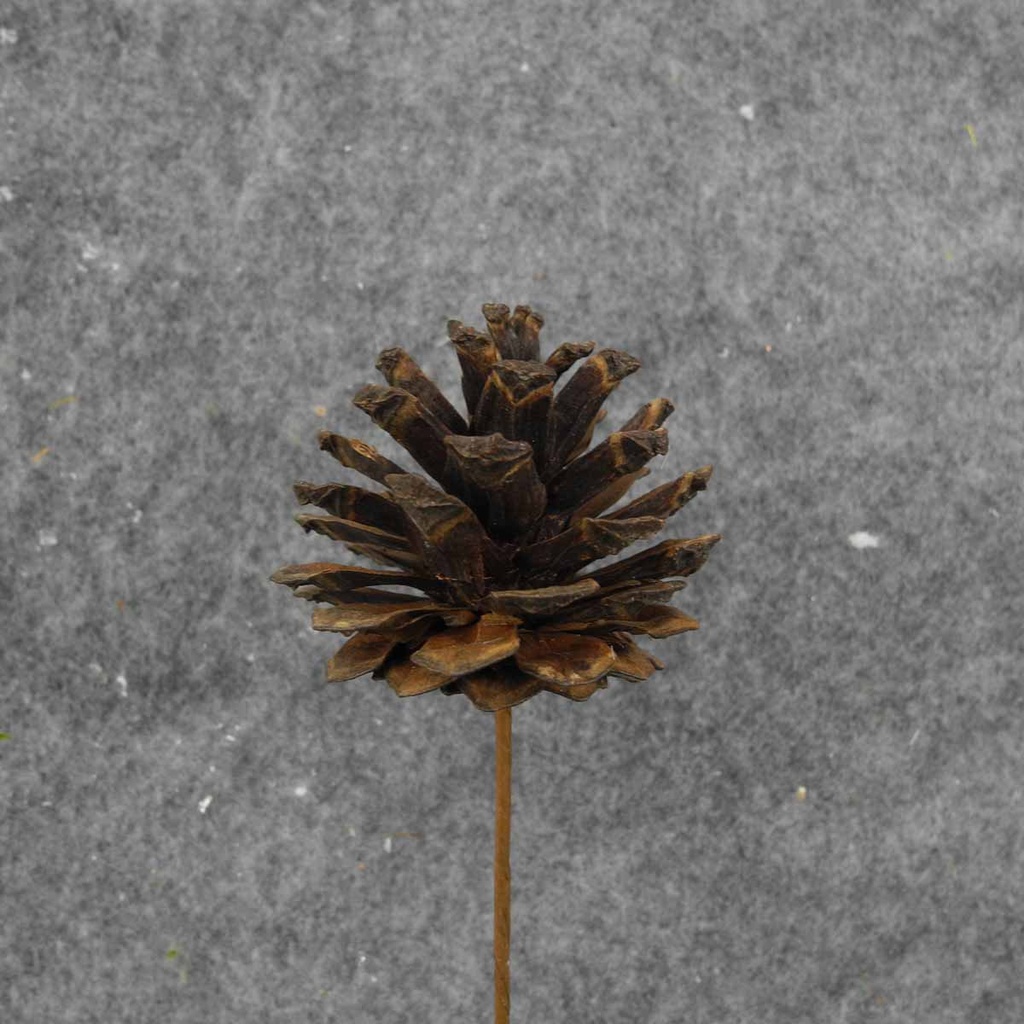 PINE CONE PICK 16" (6/BAG) NATURAL