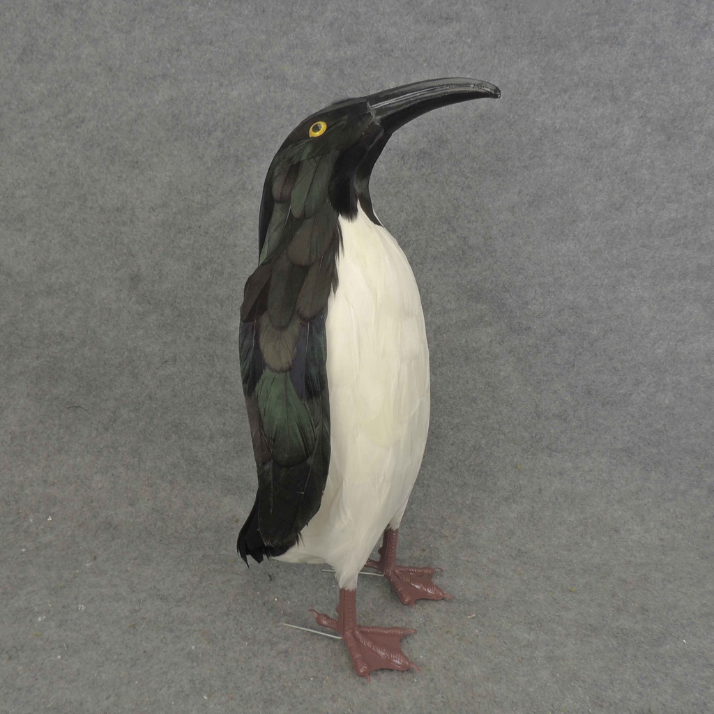 17&quot; FEATHERED PENGUIN
