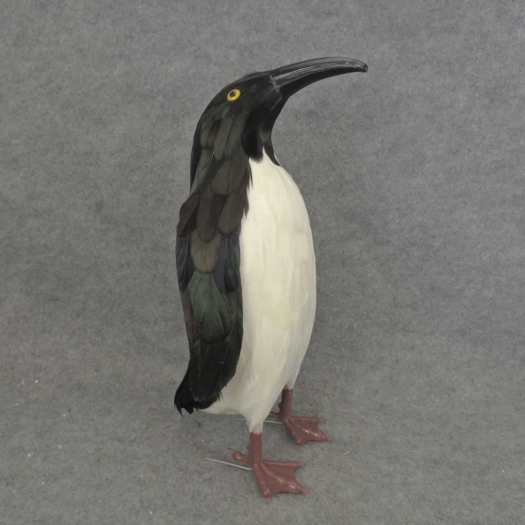 17" FEATHERED PENGUIN