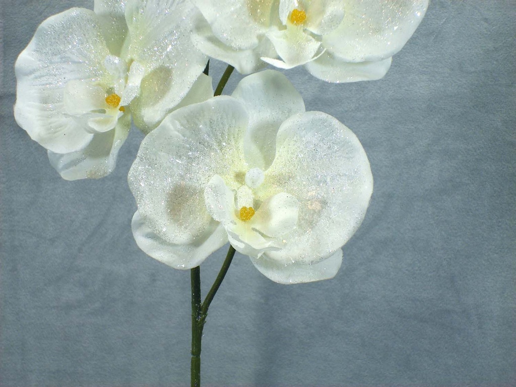 ORCHID SPRAY X6 32" GLITTER  WHITE