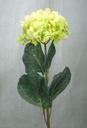 HYDRANGEA SPRAY W/FROST 27" 3/BDL