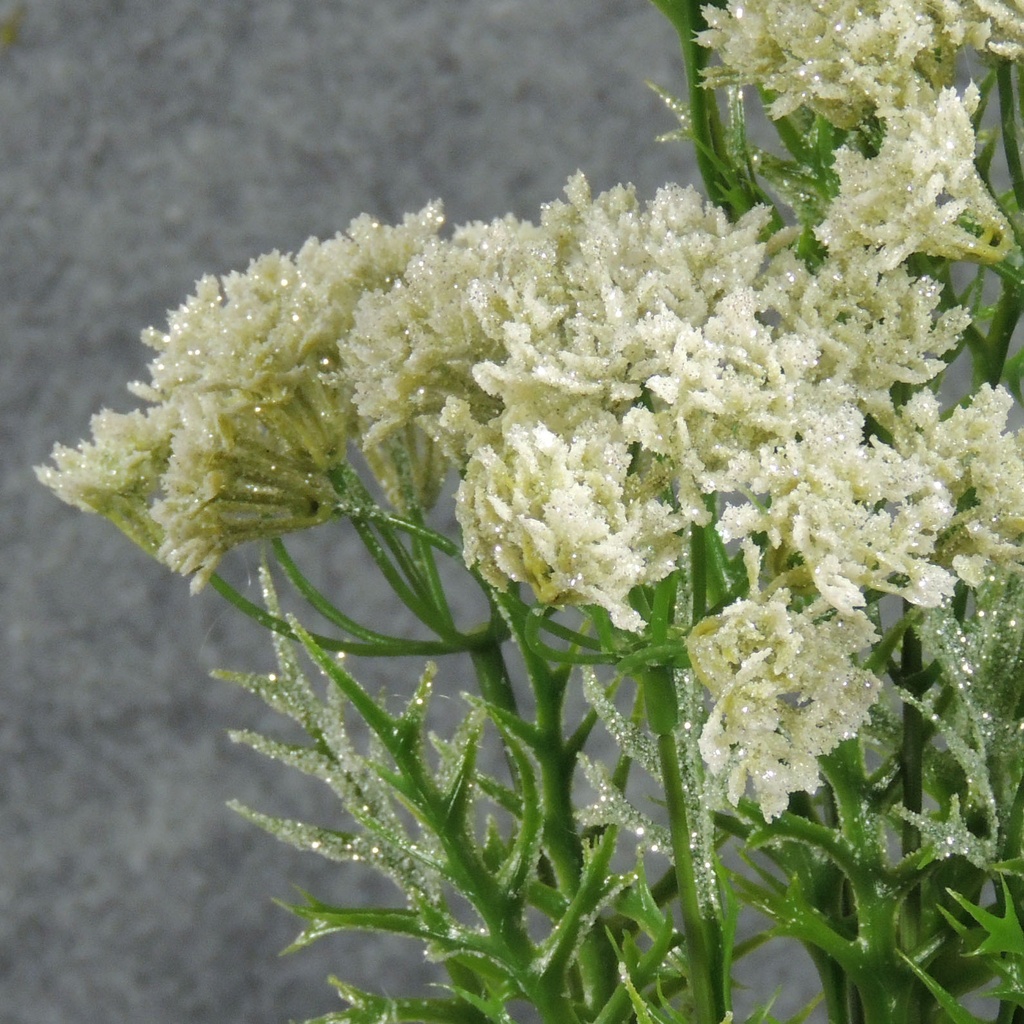 QUEEN ANN'S LACE SPRAY 29" 2 PER BUNDLE