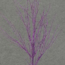 TWIG 29" GLITTER    PURPLE     2