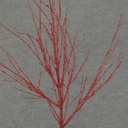 TWIG 29" GLITTER  RED