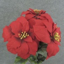 POINSETTIA BUSH X5   20"  RED