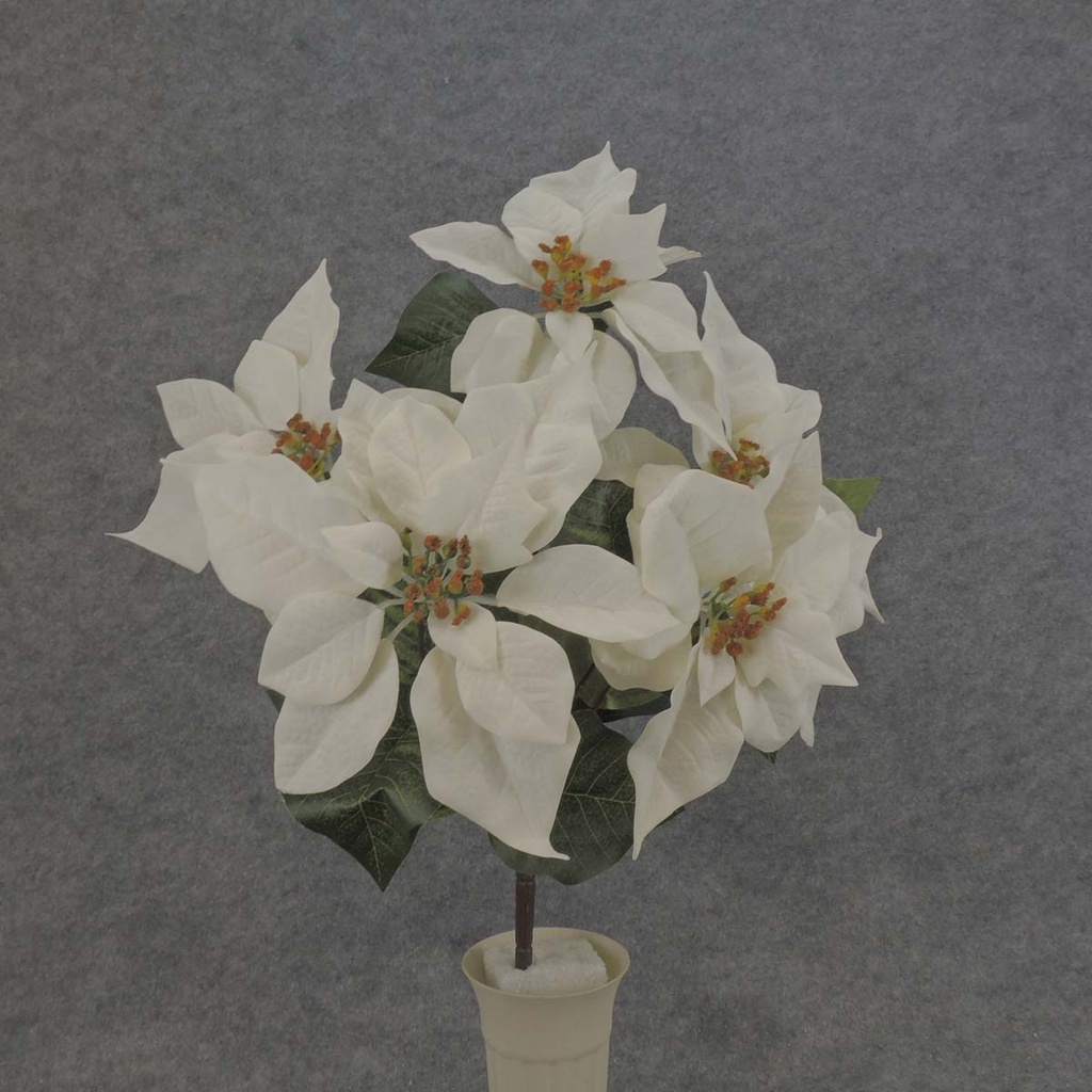 POINSETTIA BUSH X5   20" WHITE